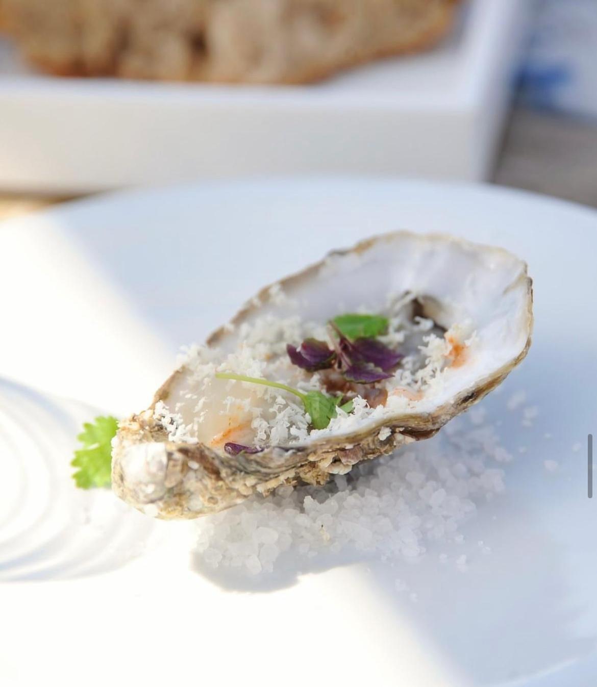 Marina Bay Beach Suites Peschici Zewnętrze zdjęcie